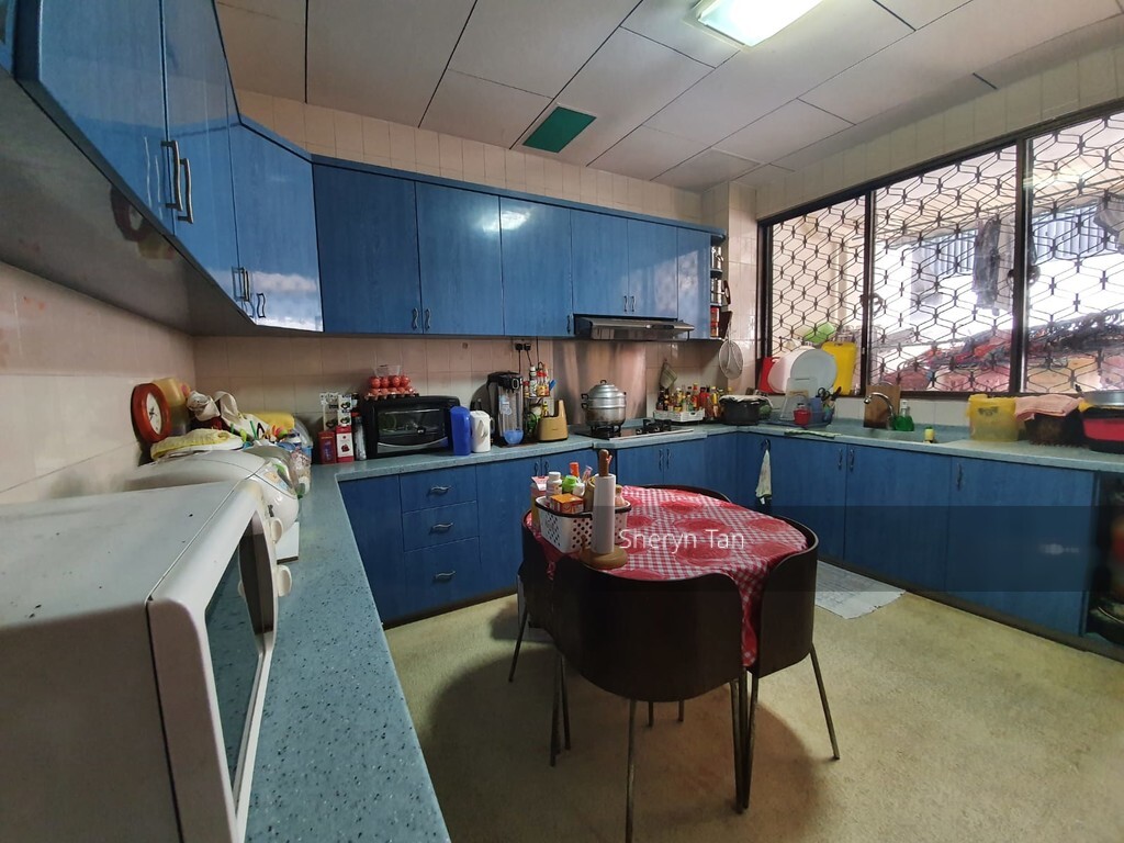 Upper Changi Road (D16), Semi-Detached #253586721